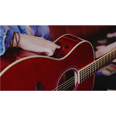 TransAcoustic?加振吉他