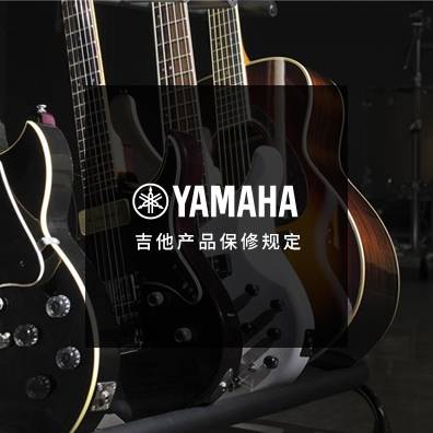 吉他、貝斯和音箱