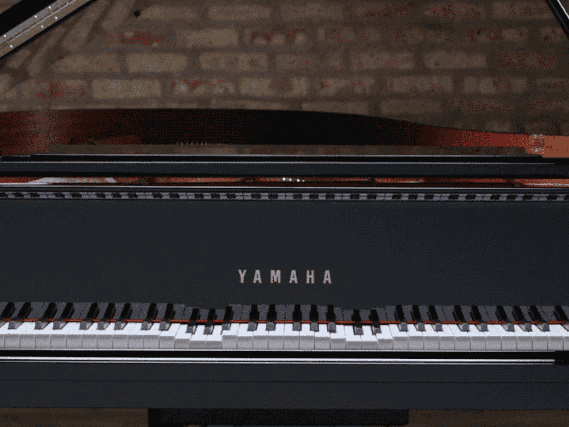 疫情下的新探索|美國亞利桑那州立大學國際遠程大師課圓滿結束！